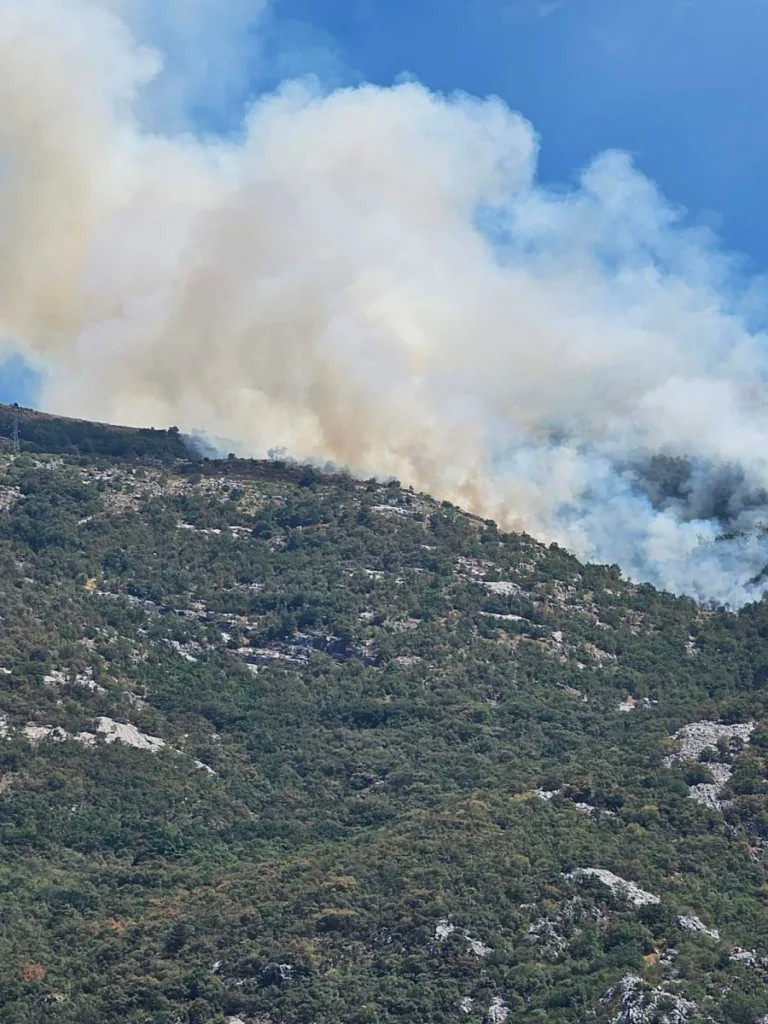 Požar iznad Njeguša ponovo aktivan