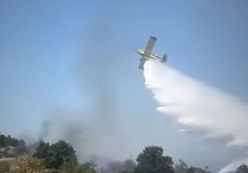 Bojanović: Požar u mjestu Gornje Stravče lokalizovan