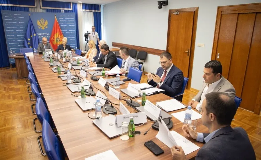 Odbor za bezbjednost danas o postupanju policije u slučajevima tragedija na Cetinju