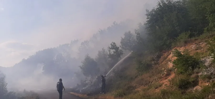 Aktivni požari u rejonu Cetinja, Ćećanović pozvao mještane da pomognu u zaštiti imanja
