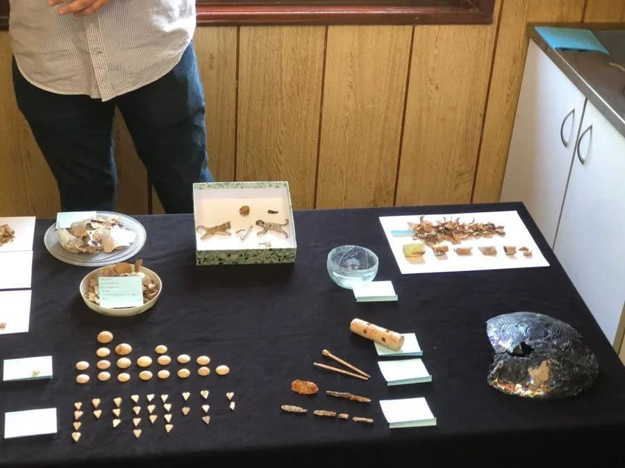 Na Duklji pronađena grobnica sa vrijednom dijatretom i nakitom