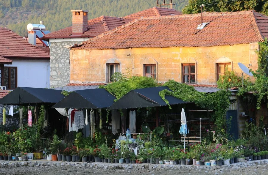 Da li je seoski život bolji za mentalno zdravlje?