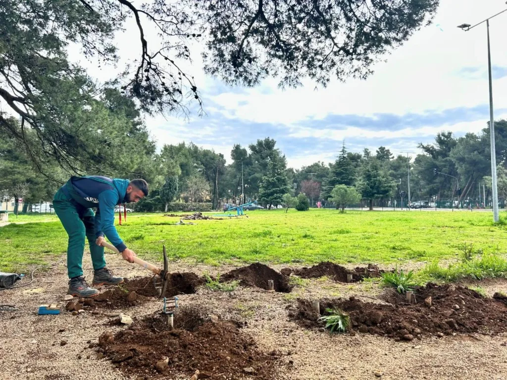 Zelenilo ulaže preko tri miliona eura u nove parkove, drvorede i mehanizaciju